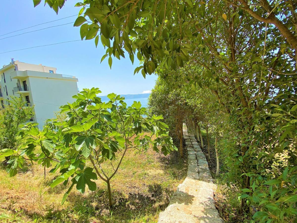 Ramo'S Green Beachside Retreat - Cozy 2 Bedroom Home Vlore Luaran gambar