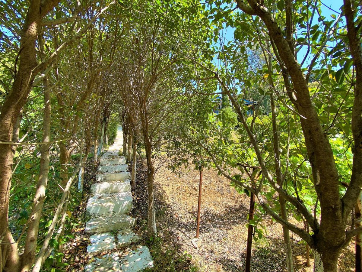 Ramo'S Green Beachside Retreat - Cozy 2 Bedroom Home Vlore Luaran gambar