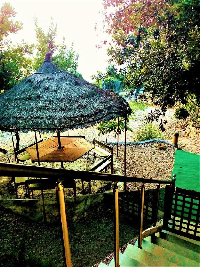 Ramo'S Green Beachside Retreat - Cozy 2 Bedroom Home Vlore Luaran gambar